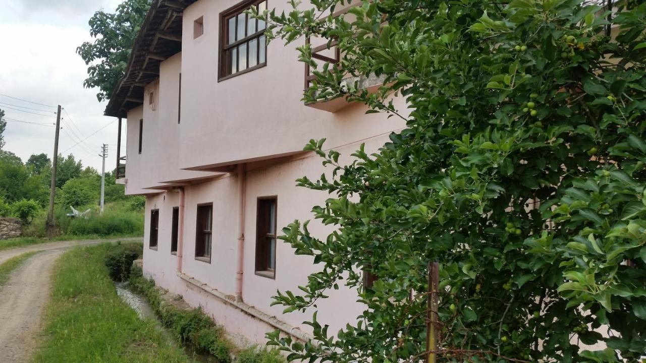Elmas Pansiyon Karacasu  Exterior photo